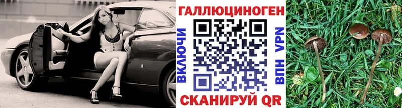 Галлюциногенные грибы Cubensis  Таштагол 